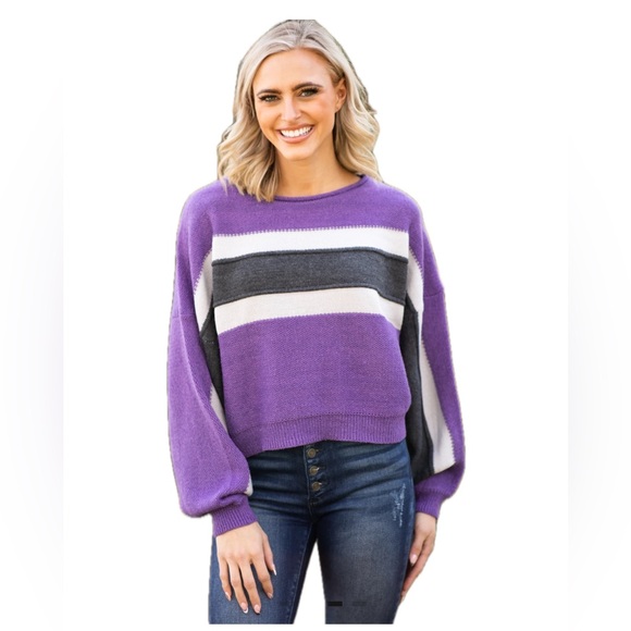 ee: some Sz Large Purple and Charcoal Stripe Colorblock Sweater - Picture 1 of 4
